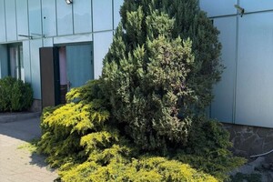 Былкова Анна Александровна — Портфолио №3