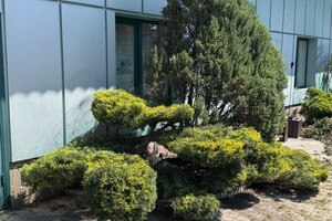 Былкова Анна Александровна — Стало — Портфолио №4