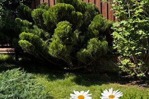 Былкова Анна Александровна — Стало — Портфолио №6