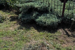 Былкова Анна Александровна — Слегка подровняла — Портфолио №8