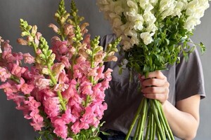 Чурикова Анита Эдуардовна — Портфолио №15