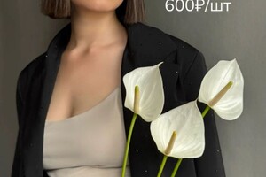 Чурикова Анита Эдуардовна — Портфолио №16