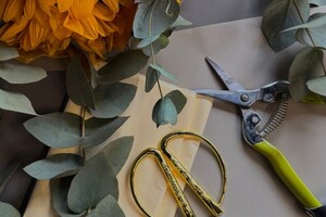 Чурикова Анита Эдуардовна — Портфолио №19