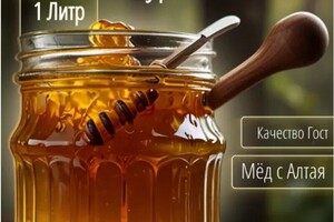 Дорофеева Карина Рифатовна — Портфолио №11