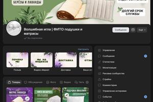 Дорохина Виктория Сергеевна — Портфолио №6