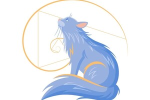 Федоренко Маргарита Маратовна — Векторная иллюстрация для приложения — Портфолио №12