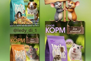 Федориненко Диана Евгеньевна — Инфографика на товар корма для грызунов. Моё портфолио можно посмотреть в ТК по имени на фото — Портфолио №2