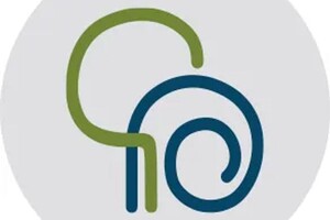 Фомина Екатерина Александровна — Фавикон — Портфолио №6