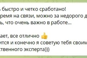 Говорухина Алена Ивановна — Отзыв по чат-ботам — Портфолио №3