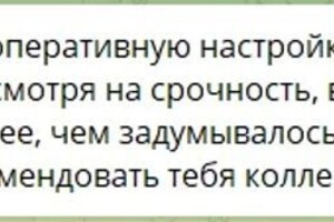 Говорухина Алена Ивановна — Отзыв по чат-ботам — Портфолио №4