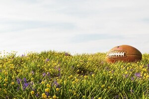 Гуркалов Максим Андреевич — Портфолио №2