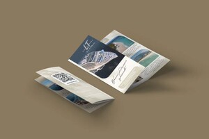 Хамитова Анастасия Андреевна — Портфолио №12