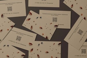 Хамитова Анастасия Андреевна — Портфолио №14