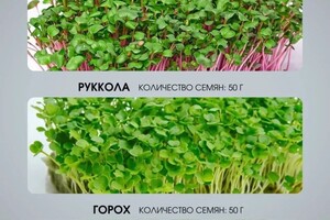 Карнаухова Елена Анатольевна — Портфолио №2