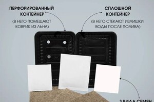 Карнаухова Елена Анатольевна — Портфолио №3