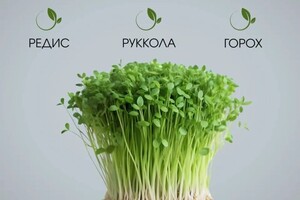 Карнаухова Елена Анатольевна — Портфолио №4