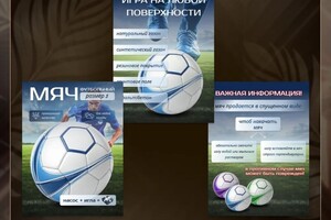 Клишевская Оксана Георгиевна — Портфолио №17