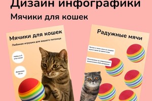 Кляхина Наталья Сергеевна — Инфографика — Портфолио №5