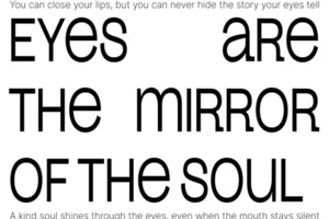 Ковтун Полина Дмитриевна — Постер — Портфолио №10