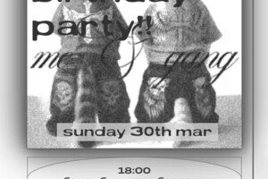 Ковтун Полина Дмитриевна — Приглашение на день рождение — Портфолио №2