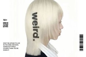 Ковтун Полина Дмитриевна — Постер — Портфолио №4