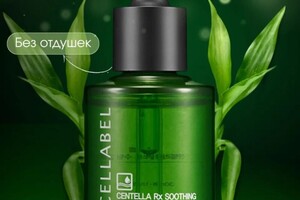 Кузнецова Кристина Сергеевна — Портфолио №4