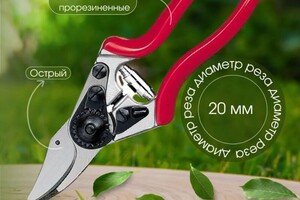 Кузнецова Кристина Сергеевна — Портфолио №5