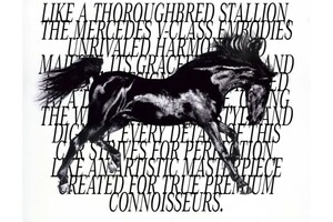 Лобко Данил Николаевич — Midwest Custom - Brand Mercedes Sales — Портфолио №16