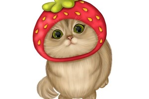 Мизюкова Виктория Валерьевна — Портфолио №21