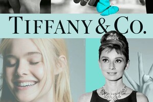 Мизюкова Виктория Валерьевна — Портфолио №23