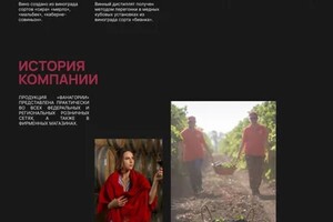 Оболенская Елена Юрьевна — интенет магазин — Портфолио №2