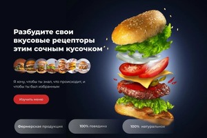 Портфолио №4 — Обжерин Кирилл Юрьевич