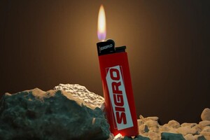 Паккерт Елена Валериевна — Портфолио №42