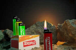 Паккерт Елена Валериевна — Портфолио №44