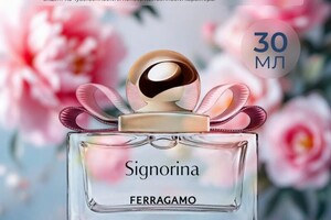 Парамонова Виктория Александровна — Портфолио №2