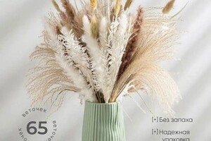 Парамонова Виктория Александровна — Портфолио №7