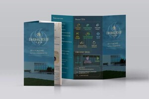 Павлова Надежда Андреевна — Флаер — Портфолио №12