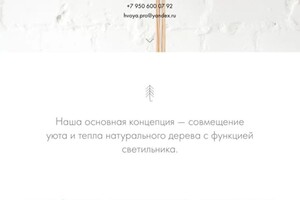 Поляков Антон Дмитриевич — Портфолио №1