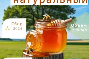 Пономарева Маргарита Игоревна — Портфолио №3