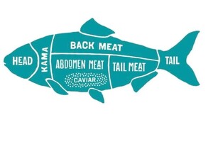 Путинцева Елизавета Алексеевна — Портфолио №9