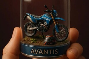 Радыгина Арина Олеговна — Портфолио №10