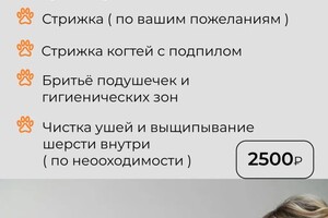 Рамазанова Наталья Юрьевна — Портфолио №4