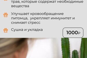 Рамазанова Наталья Юрьевна — Портфолио №5