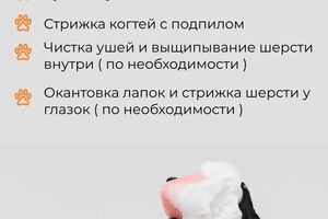 Рамазанова Наталья Юрьевна — Портфолио №6