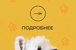 Рамазанова Наталья Юрьевна — Портфолио №7