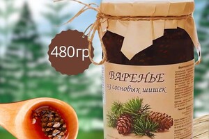 Разгильдеева Ирина Александровна — Инфографика — Портфолио №2