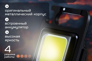 Разгильдеева Ирина Александровна — Инфографика — Портфолио №8