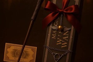 Сацук Полина Алексеевна — Портфолио №11