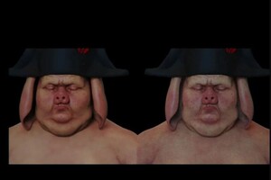 Саленко Сергей Павлович — Концепт арт наполеона из книги \