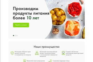 Самко Татьяна Борисовна — Дизайн сайта для магазина продуктов — Портфолио №17